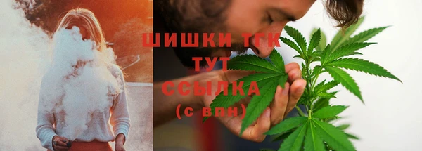 амф Богданович