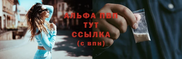 амф Богданович