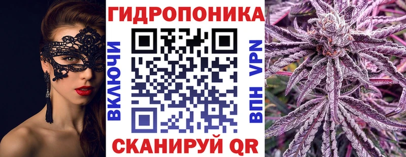 Бошки Шишки гибрид  Шахунья 
